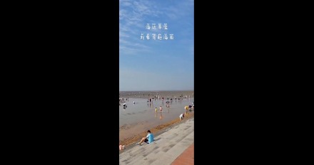 海边寻宝，刘家湾赶海园—泰安金辉国旅