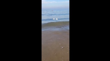 跟着金辉去听海